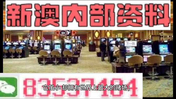 2024新澳门精准资料免费大全-精选解释解析落实